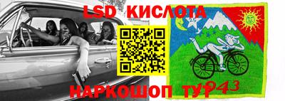 шишки Краснокаменск