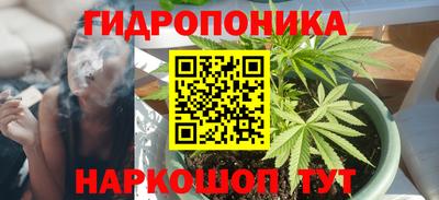 шишки Краснокаменск