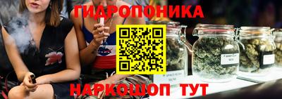 шишки Краснокаменск
