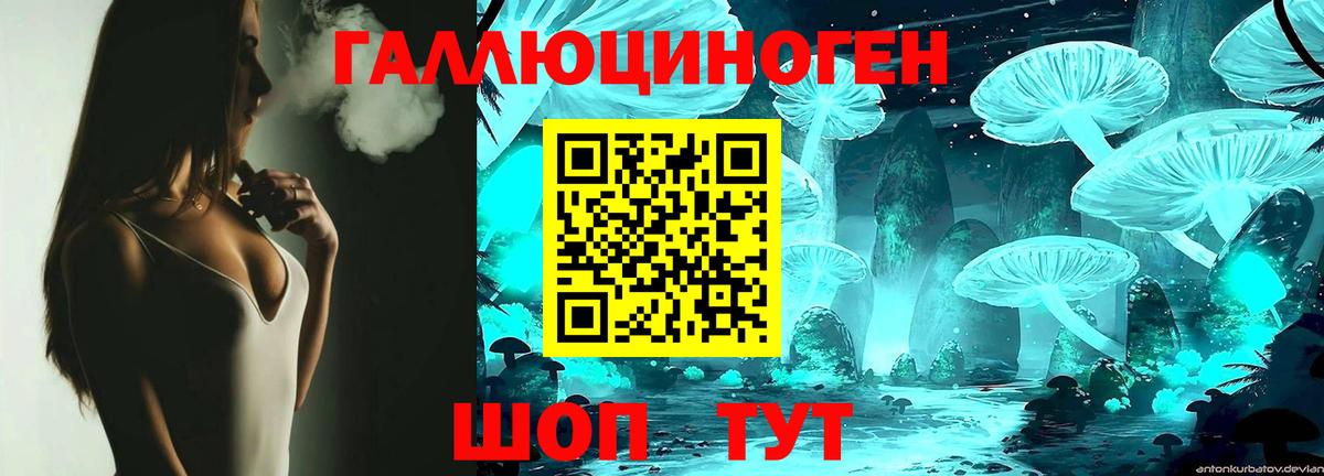 Шадринск  Псилоцибиновые грибы Psilocybe  Вход с VPN 